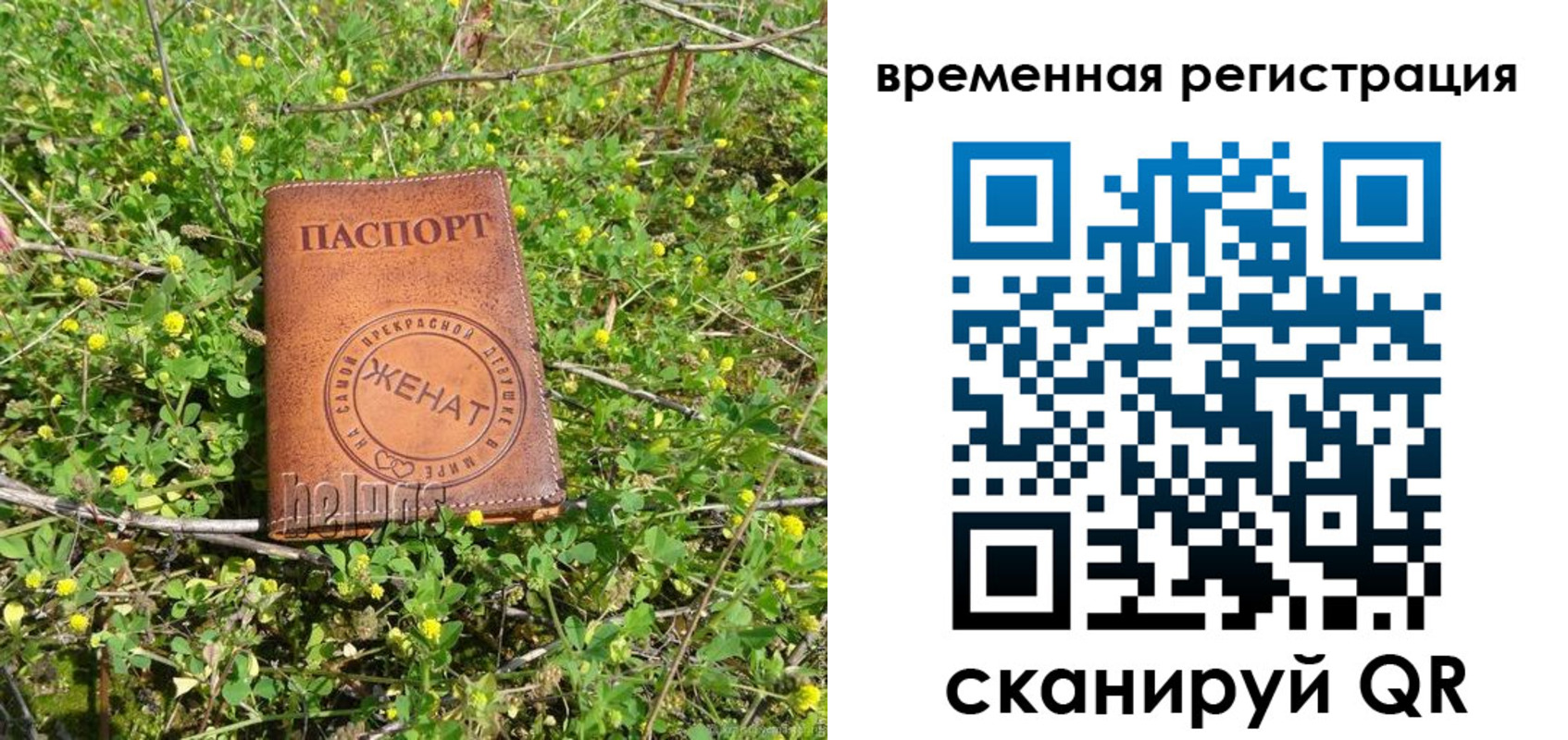 прописка регистрация в Коряжме